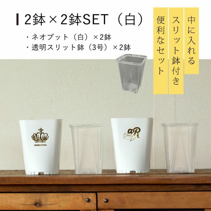 スリット鉢 ネガミエル 浅岡園芸 スリット 鉢 カバー 鉢ネオプット2鉢