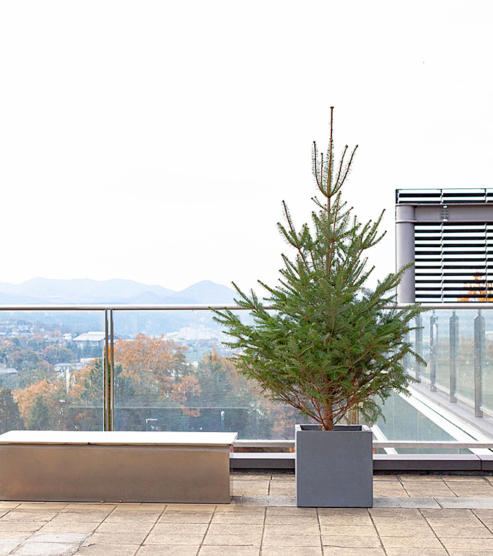 鉢 植木鉢 屋外 鉢カバー 大型 おしゃれ 大型スクエア植木鉢