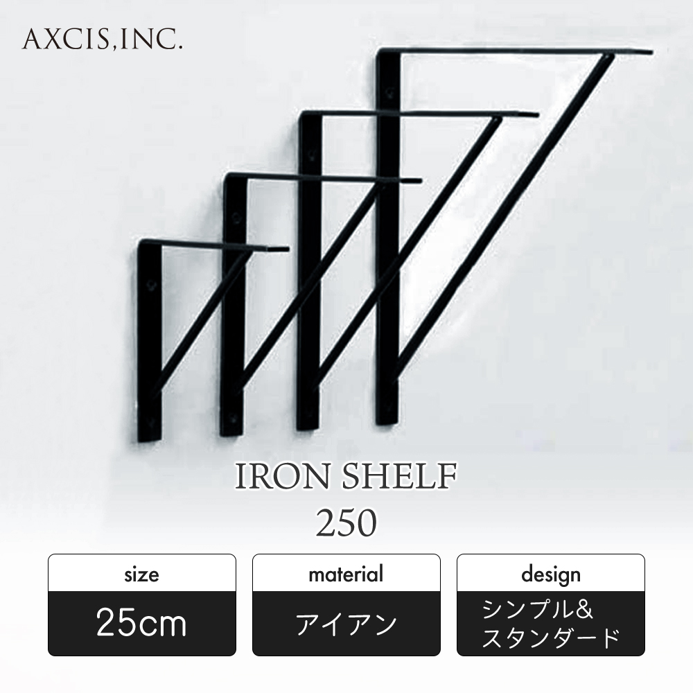 アイアン ウォール シェルフ IRON SHELF 250 25cm ラック 棚 壁 壁面