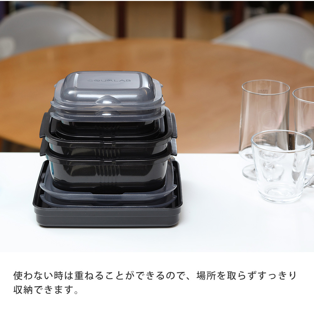 GOURLAB レンジ調理 グルラボプラス スタンダード 4点 セット 電子