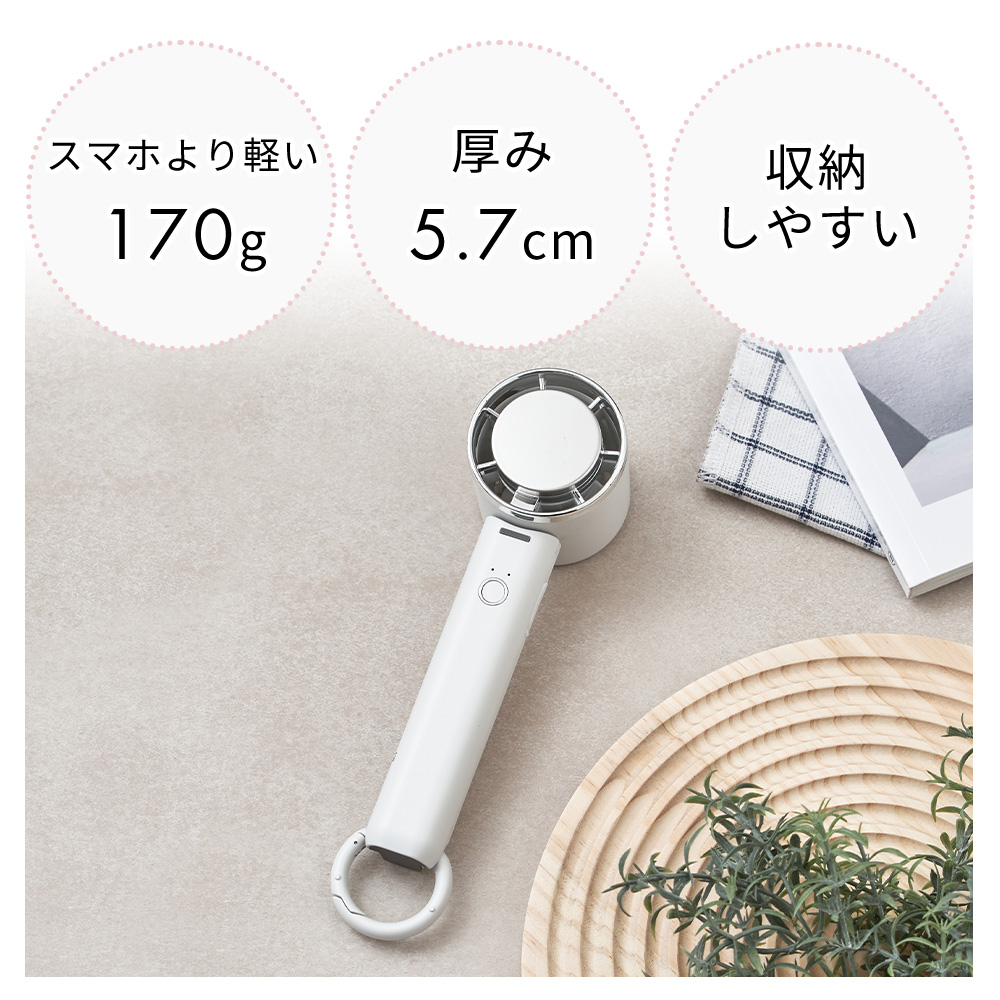 Life on Products（ライフオンプロダクツ） ペルチェ冷却機能 ハンディ