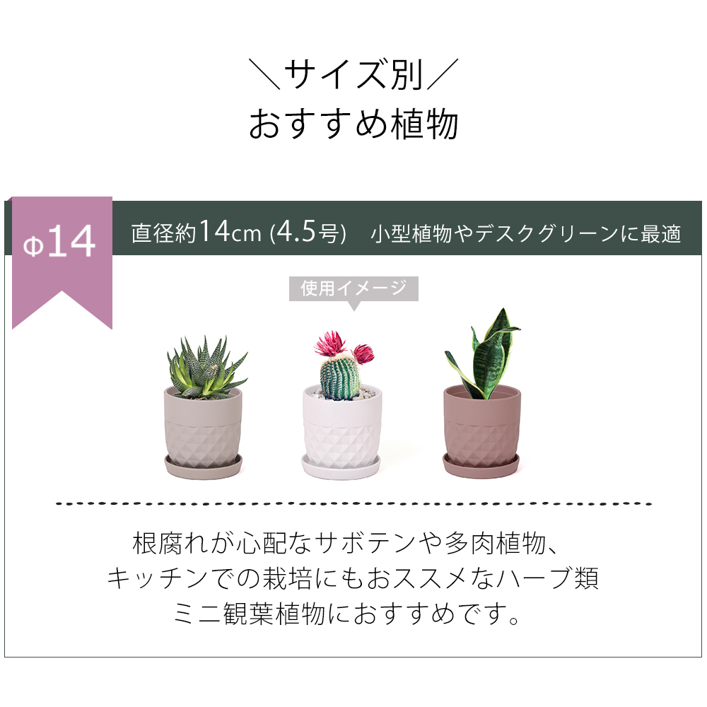 GOLDBRICKER氏　植木鉢まとめ売り6個 y24a-pp-tu1-40e-z1.jpg