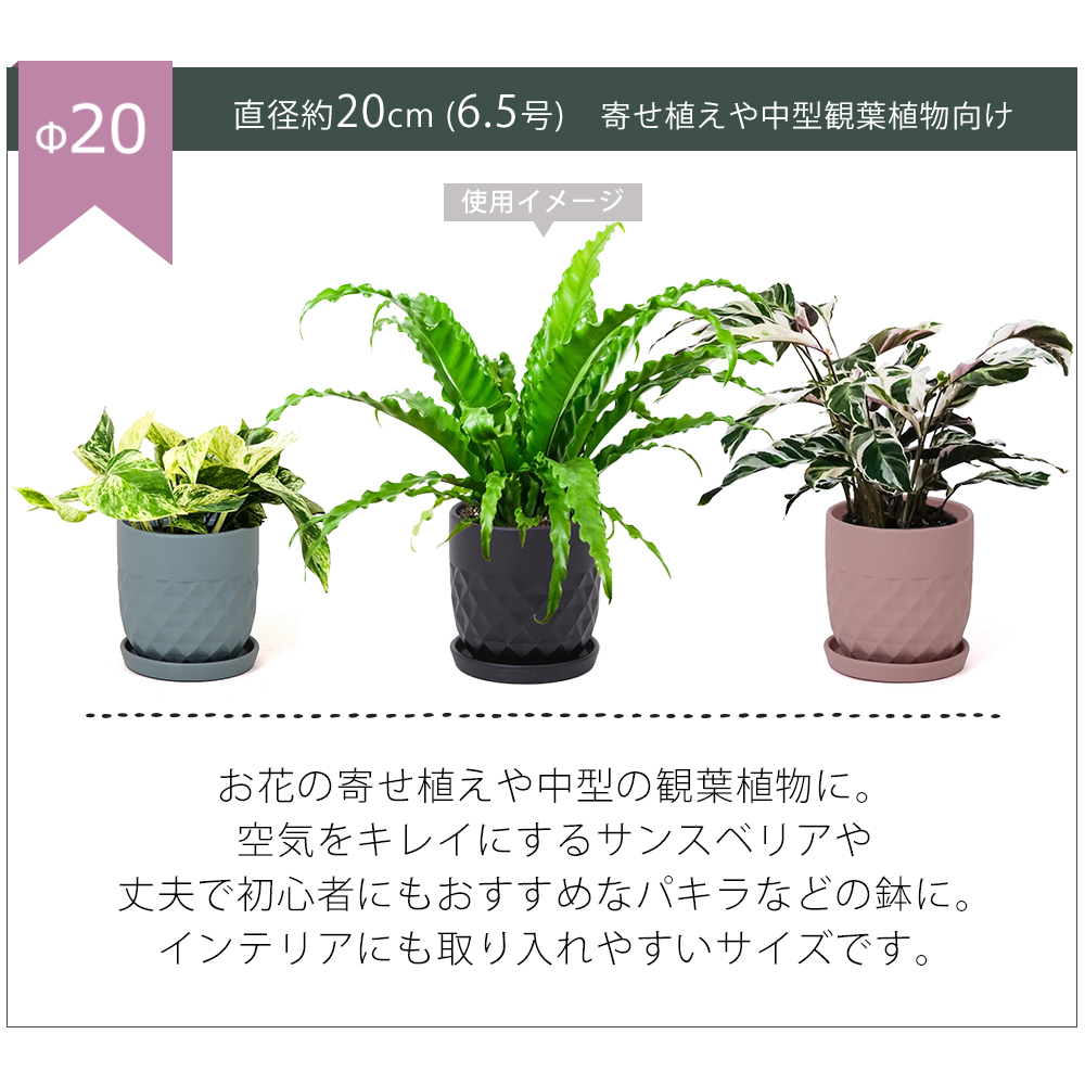 GOLDBRICKER氏　植木鉢まとめ売り6個 植木鉢 おしゃれ アンティーク テラコッタ AQ001L 45cm 15号 ブラック