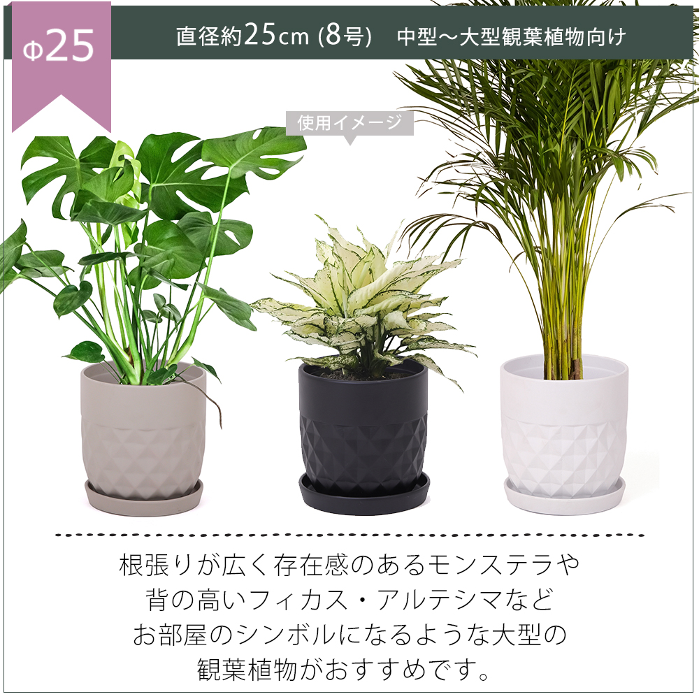 ヤマソロ 植木鉢 フラワーポット 観葉植物 グリーン インテリア