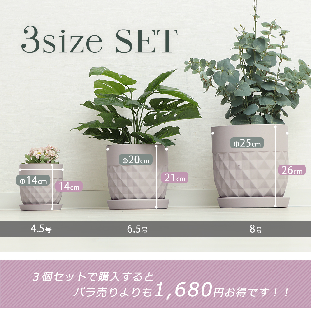 【引取限定】観葉植物　超豪華セット まとめ売り 鉢つき ヤマソロ 植木鉢 フラワーポット 観葉植物 グリーン インテリア