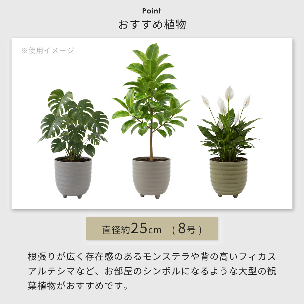 ヤマソロ 植木鉢 フラワーポット 観葉植物 グリーン インテリア