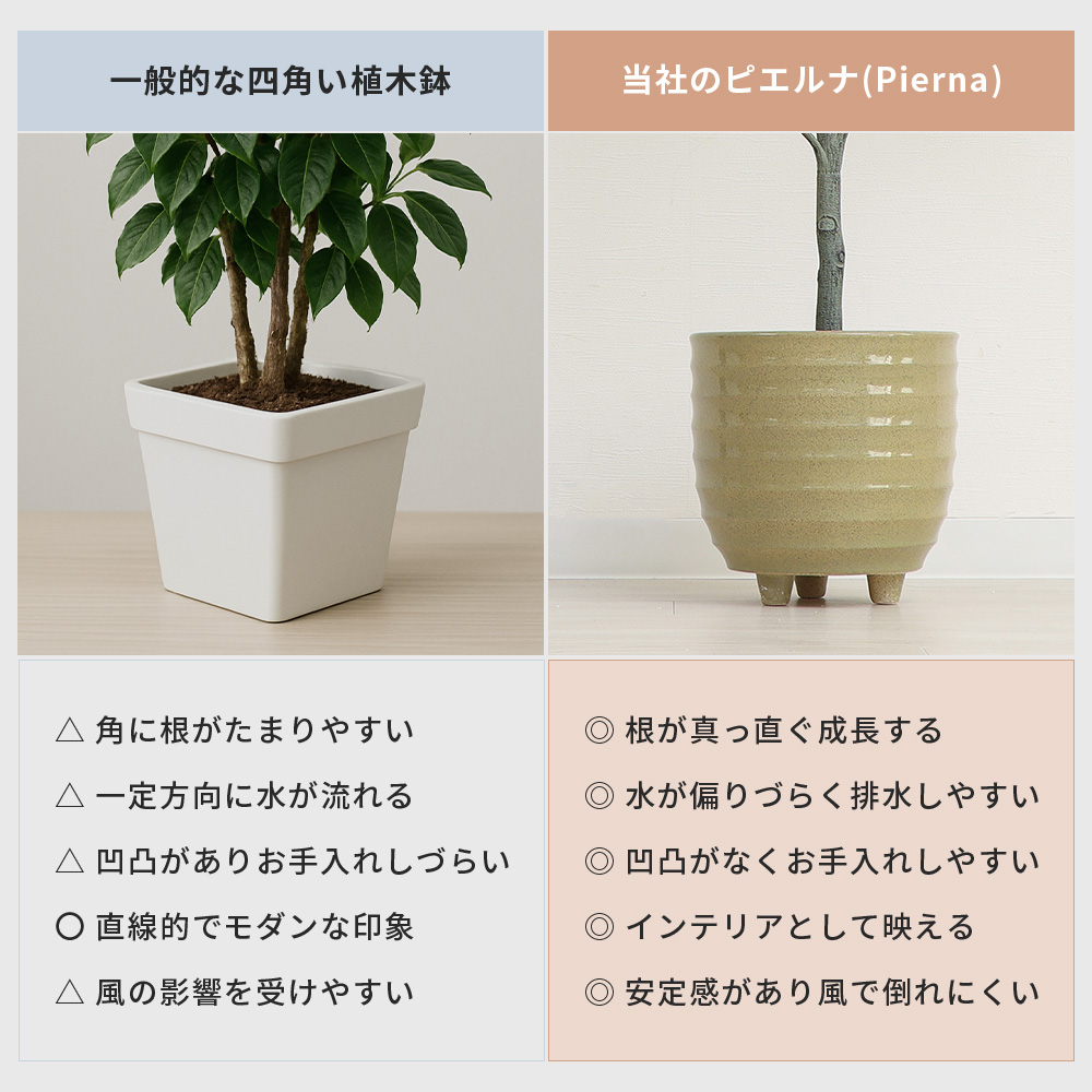 ヤマソロ 植木鉢 フラワーポット 観葉植物 グリーン インテリア