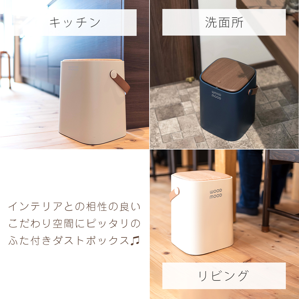 ゴミ箱 おしゃれ ふた付き ダストボックス 北欧 シンプル ごみ箱 持ち