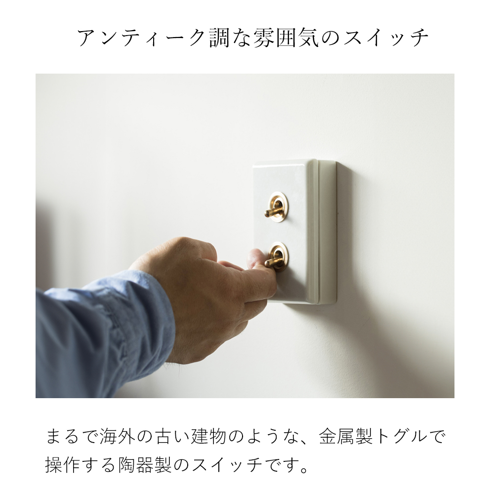 陶器スイッチダブル トグル スイッチ スイッチプレート パーツ