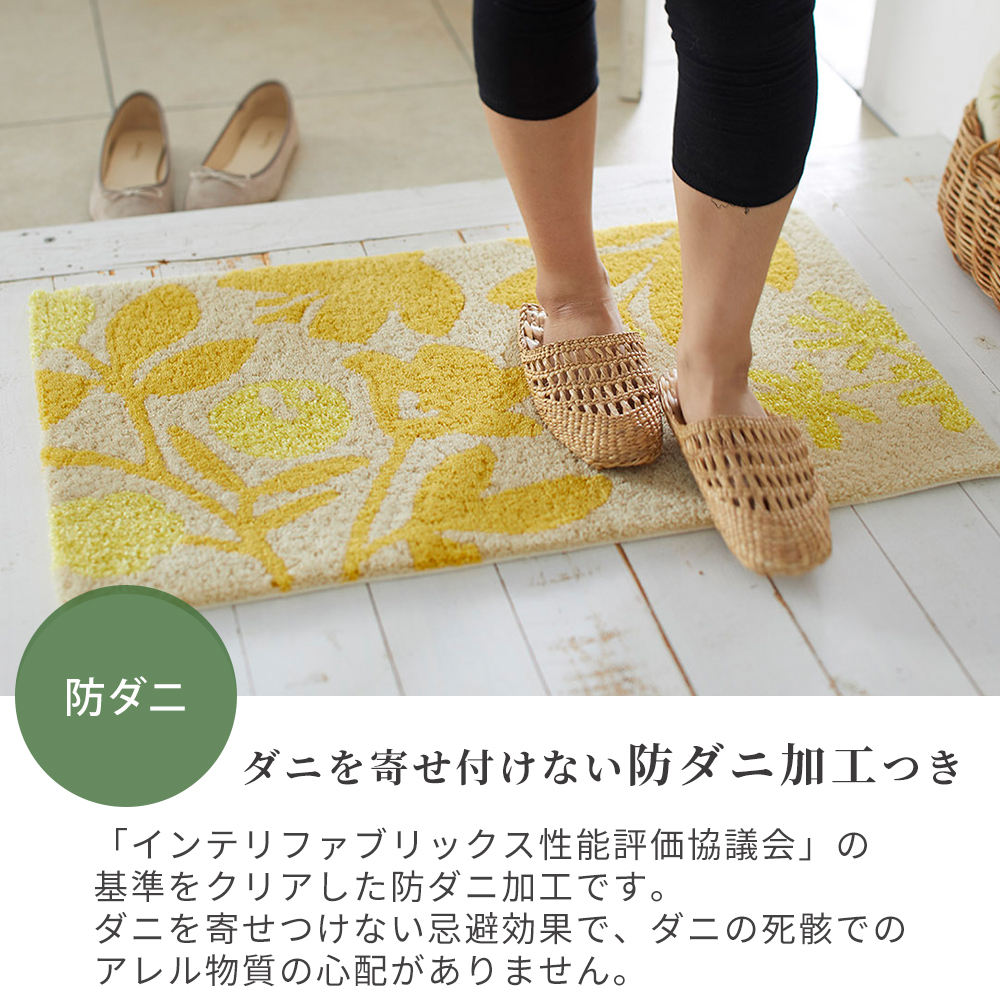 スミノエ 玄関マット おしゃれ 室内 北欧 45×75cm 長方形 ラグ