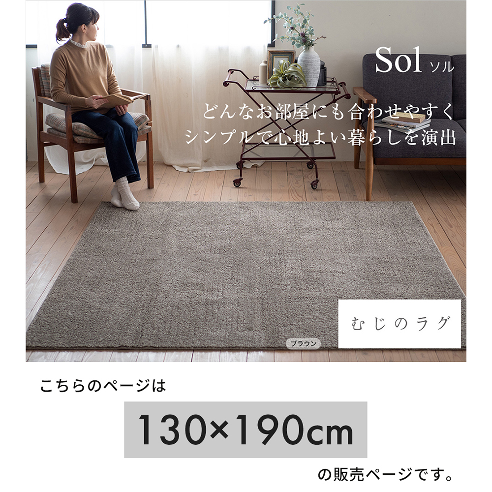 宅配便配送 洗える スミノエ ラグ ホット 床暖房 防ダニ 190×190 マット バッグ