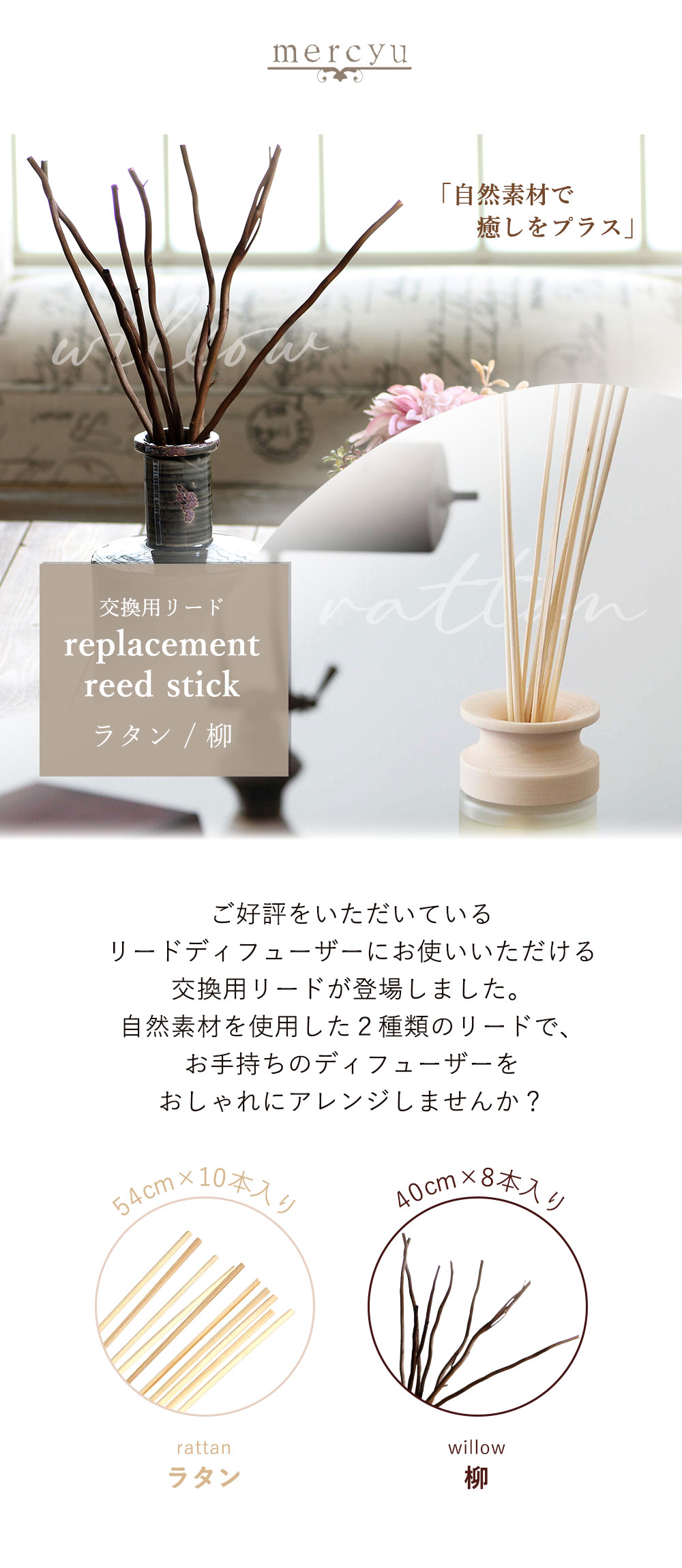 交換用リード