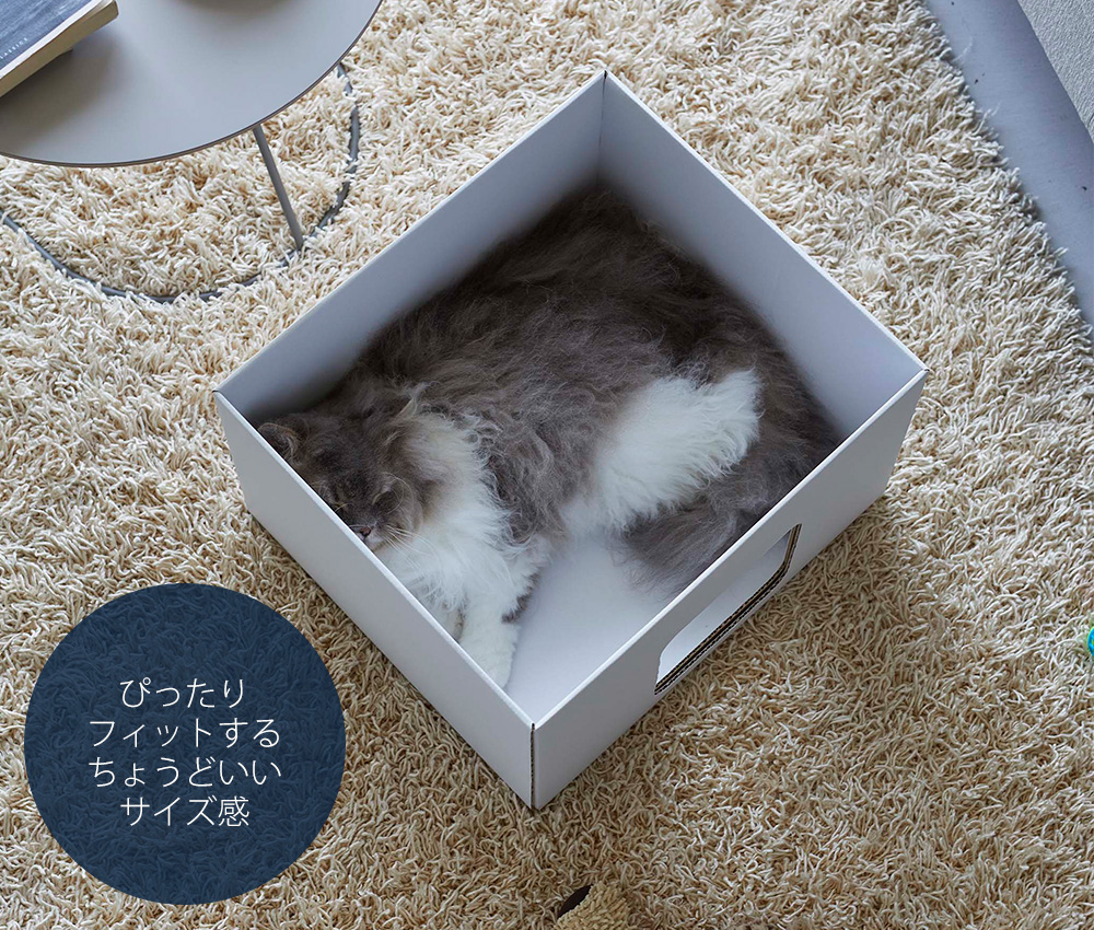 キャットボックス tower おしゃれ 2個組 キャットハウス ペットベット ねこハウス ネコ 猫 イヌ 犬 ダンボールハウス 山崎実業 6137  6138