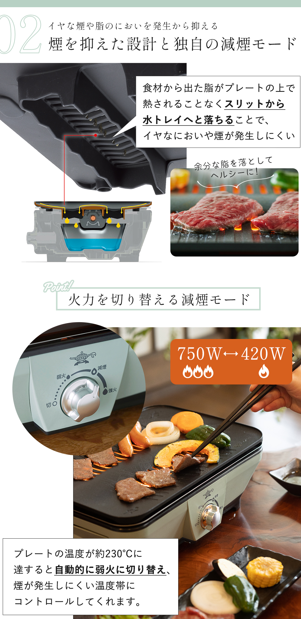 アラジン (豪華2大特典) グラファイト ミニグリラー グリル