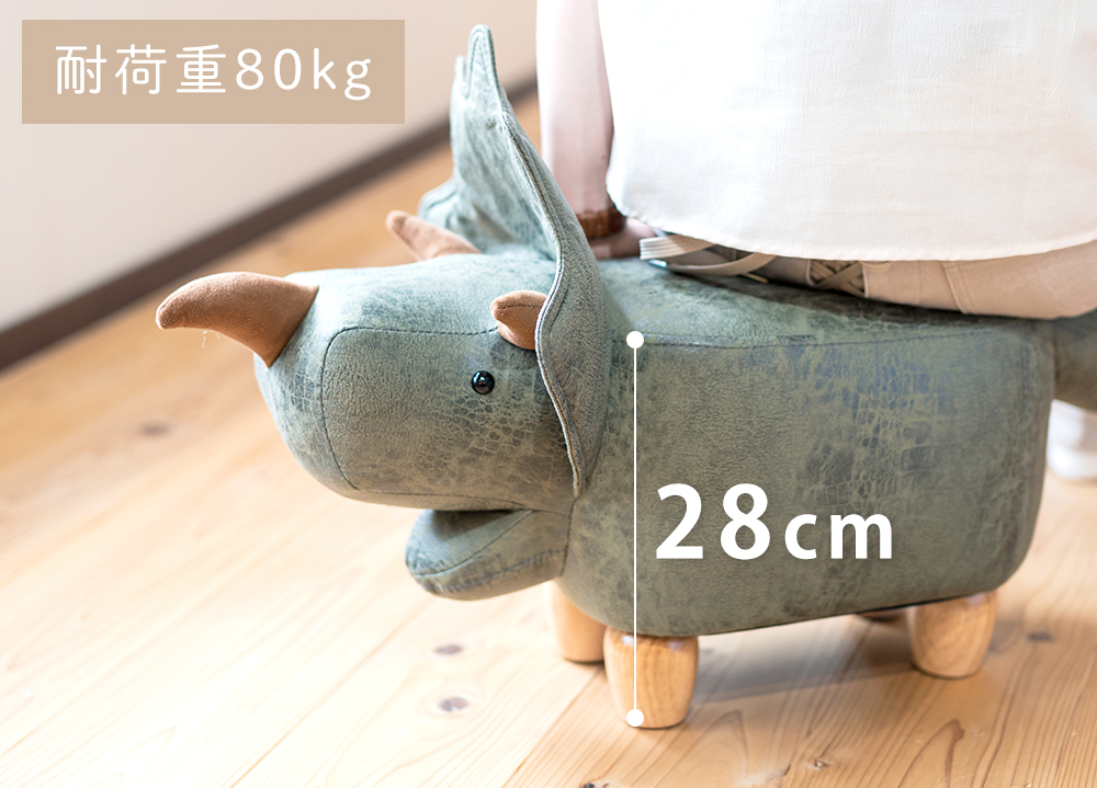 耐荷重 80kg