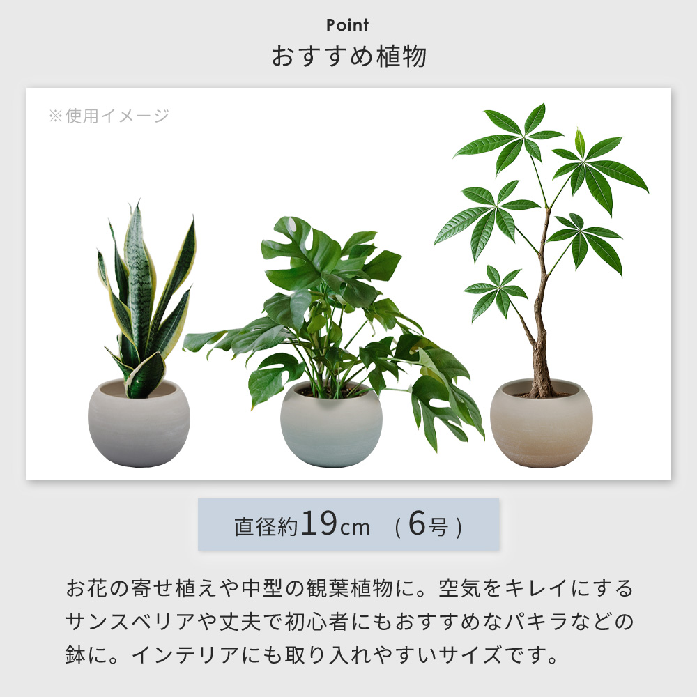ヤマソロ 植木鉢 フラワーポット 観葉植物 グリーン インテリア