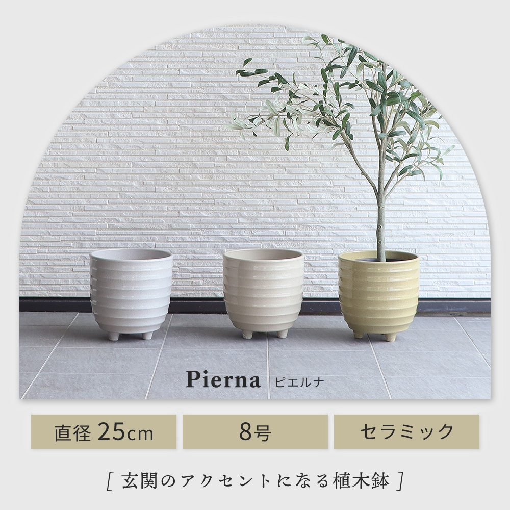 ヤマソロ 植木鉢 フラワーポット 観葉植物 グリーン インテリア