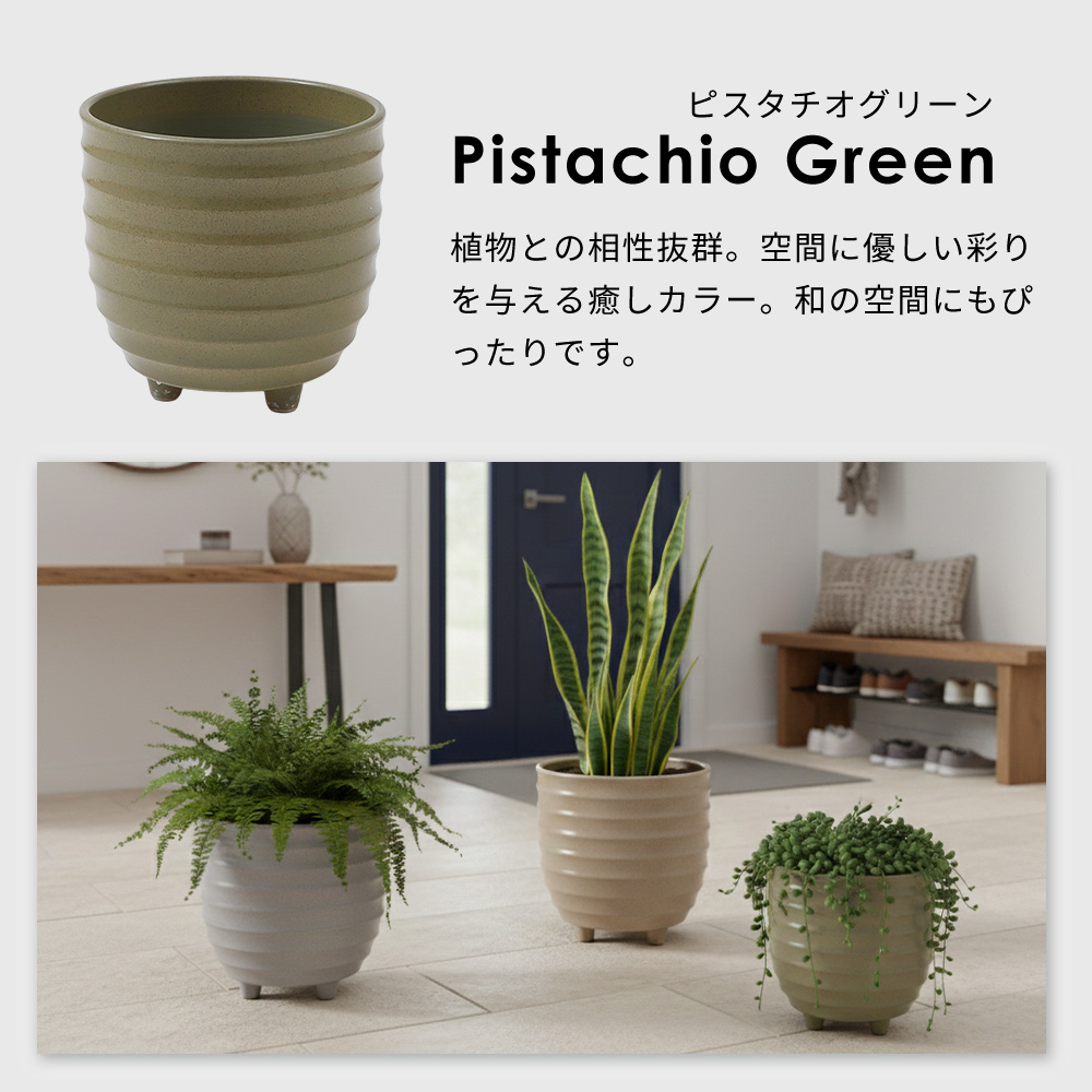 ヤマソロ 5/25はP+9％！ 植木鉢 フラワーポット 観葉植物 グリーン