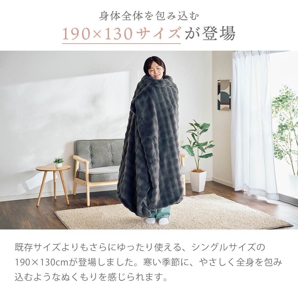 2/8はP+17％還元！ 電気毛布 掛け敷き 190×130cm 洗える ひざ掛け 敷