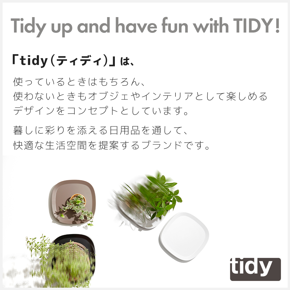 tidy ティディ ブランド紹介