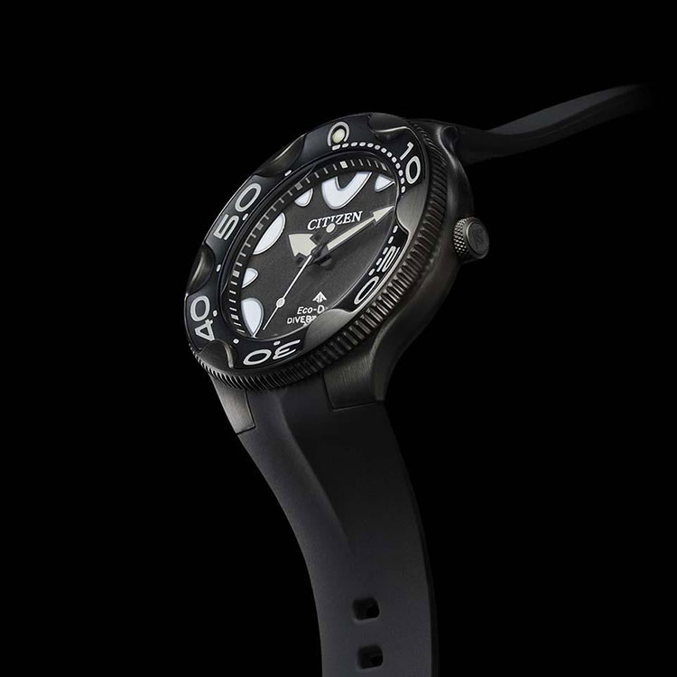 PROMASTER シチズン CITIZEN プロマスター エコ・ドライブ MARINE