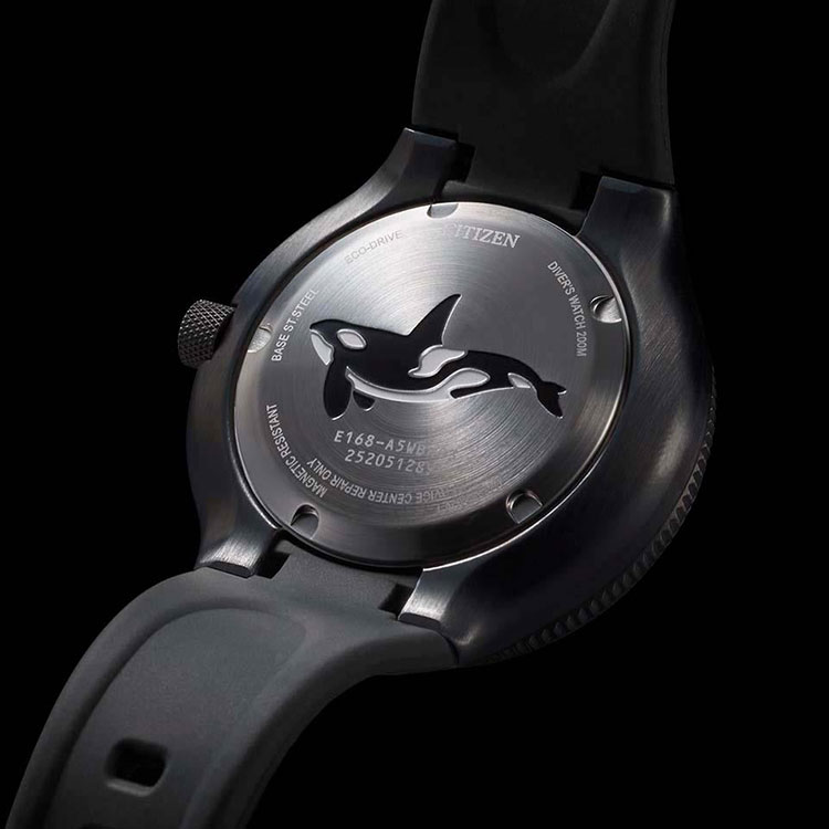 PROMASTER シチズン CITIZEN プロマスター エコ・ドライブ MARINE 