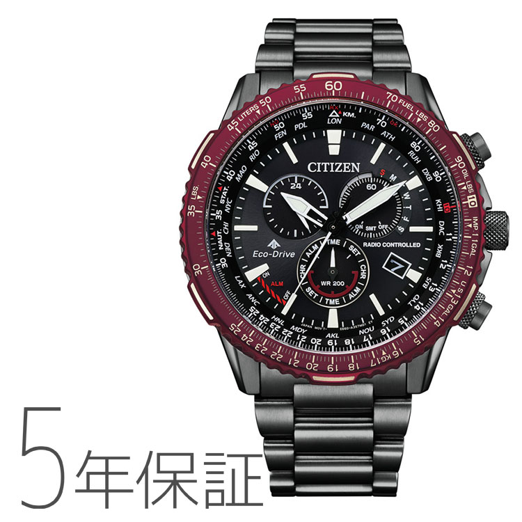PROMASTER シチズン CITIZEN プロマスター スカイシリーズ SKY