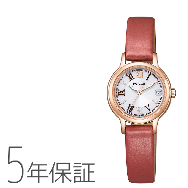 腕時計 CA4664-60X Male Stainless steel brown ø 40mm Citizen Onlineshop
