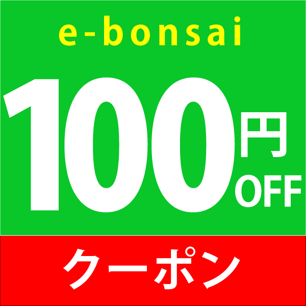 100円off
