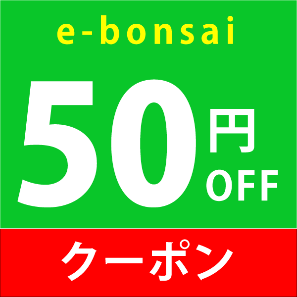 50円off