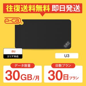 wifi レンタル 月間30GB 30日プラン 1ヵ月 ポケットwifi レンタルwifi wifi レンタル wi-fi au U3