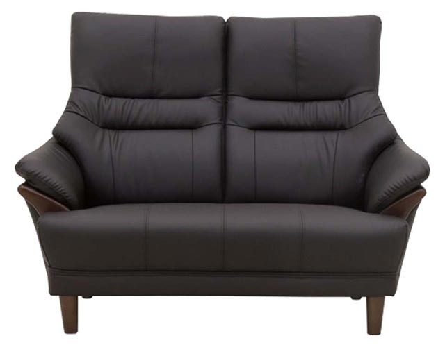 eーcasa（イーカーサ） ソファ ソファー 2人掛けソファ 2人掛け