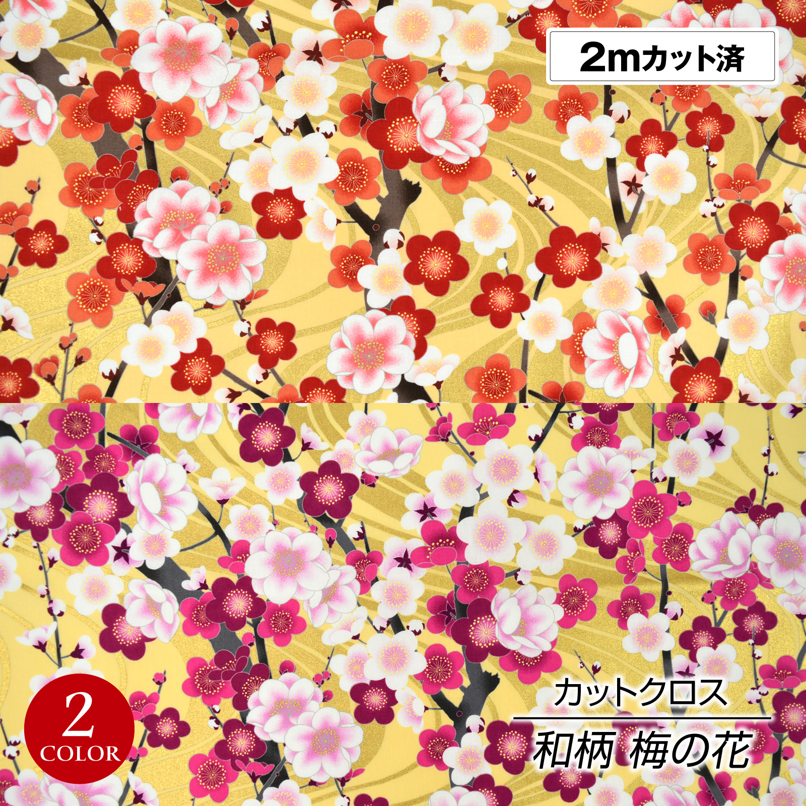 11c27-1-2m.jpg