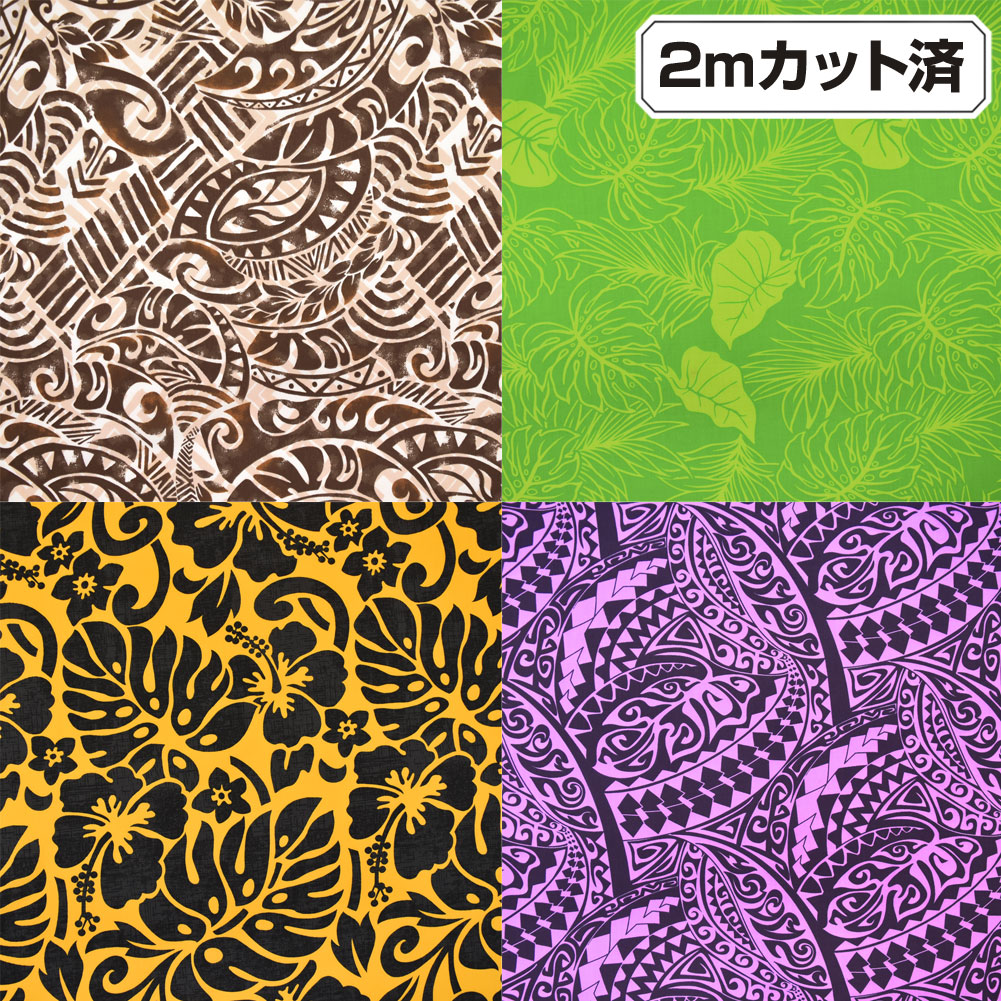 n nC nCAn(113cmx2mJbg) z n nCAvgn pEXJ[gn n CeAn LET200-31KL17 [M 3/4]
