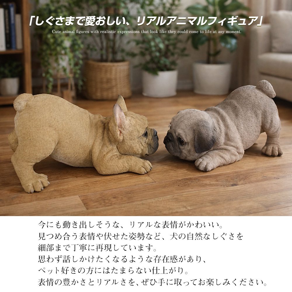 animalf-02.jpg