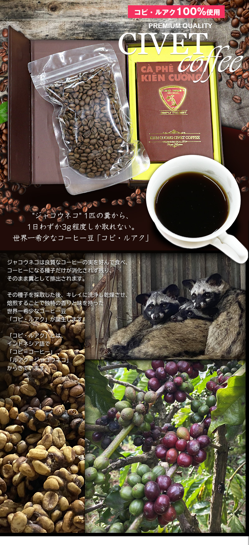 ジャコウネココーヒー 100g シベットコーヒー コピルアク アラビカ