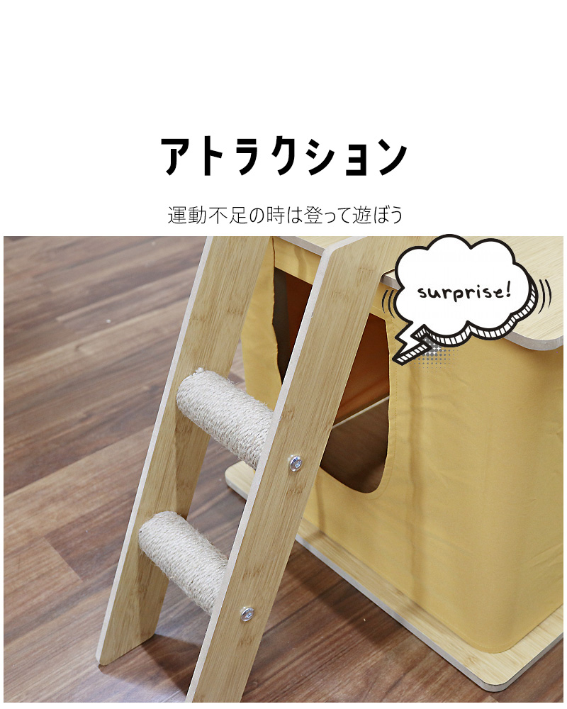 【エトねこ】肺皿 810SL+aKW+L._UF1000,1000_QL80_.jpg