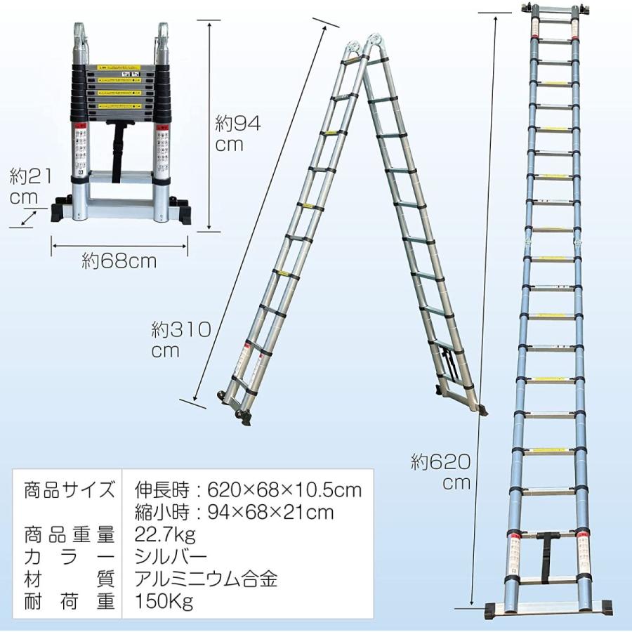 2way 伸縮 はしご 3.1m 10段 アルミ 脚立 ラダー 送料無料 ※北海道、沖縄県、離島を除く 【ロジ発送】