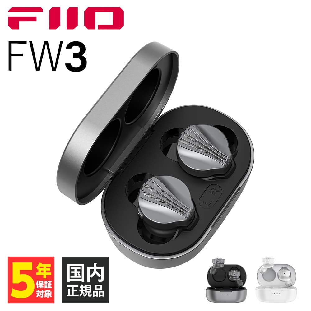 (在庫限り) FiiO フィーオ FW3 Dark Gray (FIO-FW3-DG) ワイヤレスイヤホン Bluetooth 無線 防水 マイク付き (送料無料)｜e-earphone