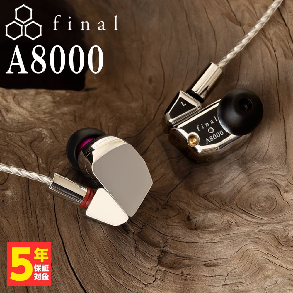 final A8000 (FI-A8DSSD) ファイナル 有線イヤホン カナル型 耳掛け型 