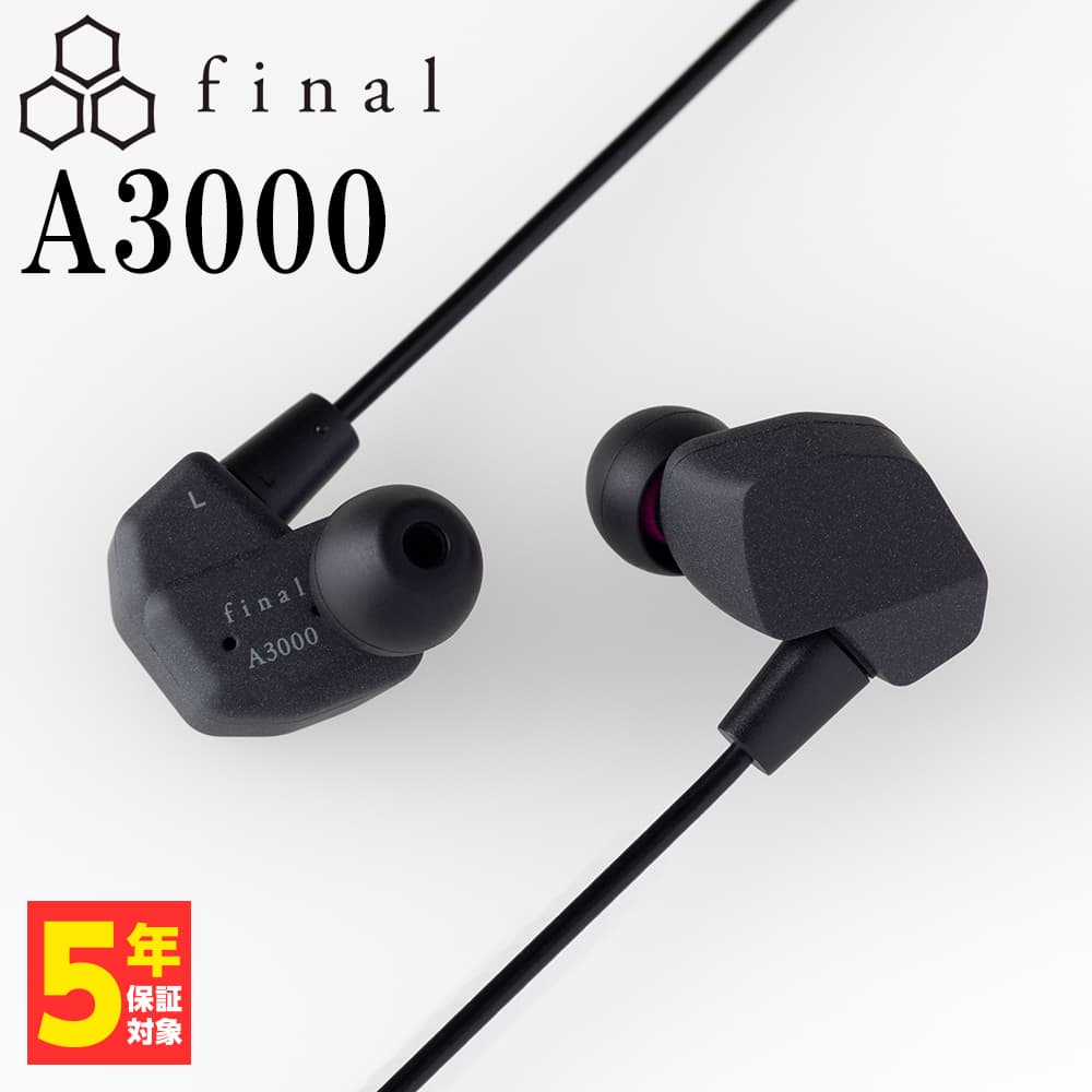 final A3000 ファイナル 有線イヤホン カナル型 耳掛け型 シュア掛け リケーブル対応 2Pin (送料無料)