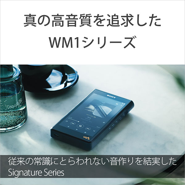 SONY Walkman NW-WM1AM2 2022年モデル デジタル オーディオプレイヤー