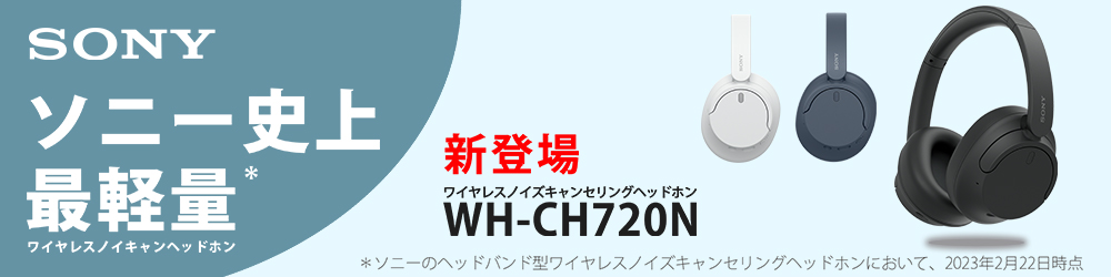 ワイヤレスイヤホン SONY ソニー WF-C500 BZ ブラック 黒 Bluetooth 