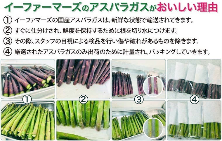 タイトル画像