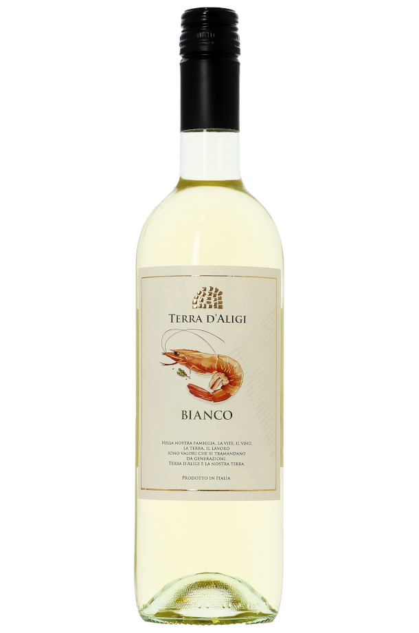 白ワイン イタリア テッラ ダリージ ビアンコ デザインラベル 750ml