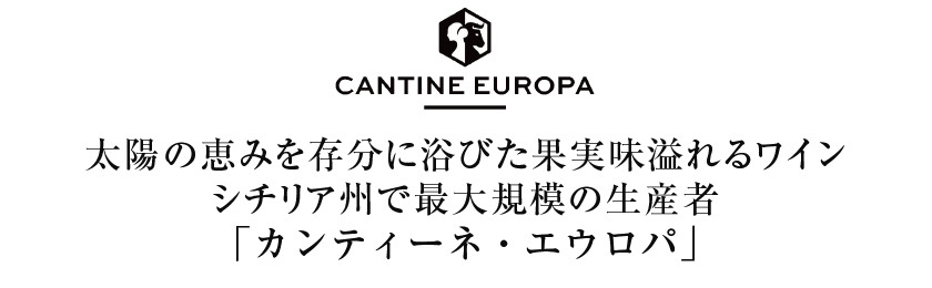 白ワイン イタリア カンティーネ エウロパ ロチェーノ グレカニコ 2021 750ml :1-ma0673:酒類の総合専門店 フェリシティー -  通販 - Yahoo!ショッピング