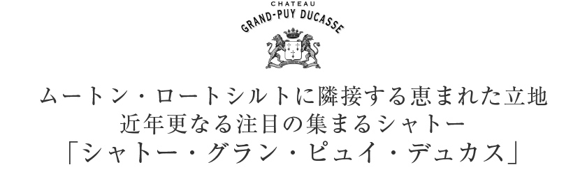 赤ワイン フランス ボルドー シャトー グラン ピュイ デュカス 2018