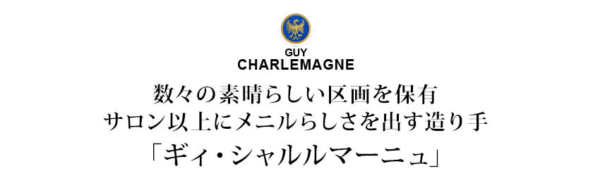 ドメーヌ ギィ シャルルマーニュ シャンパーニュ グラン クリュ ル