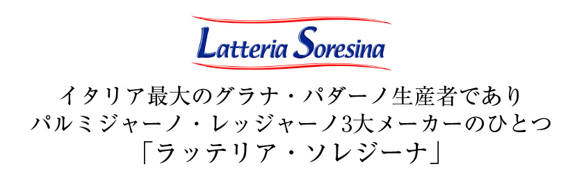 ポイント3倍 イタリア産 ハードタイプ 食品 グラナ チーズ パダーノ 約900g グランソレジーナ 要クール便3,294円 包装不可  810g〜990g