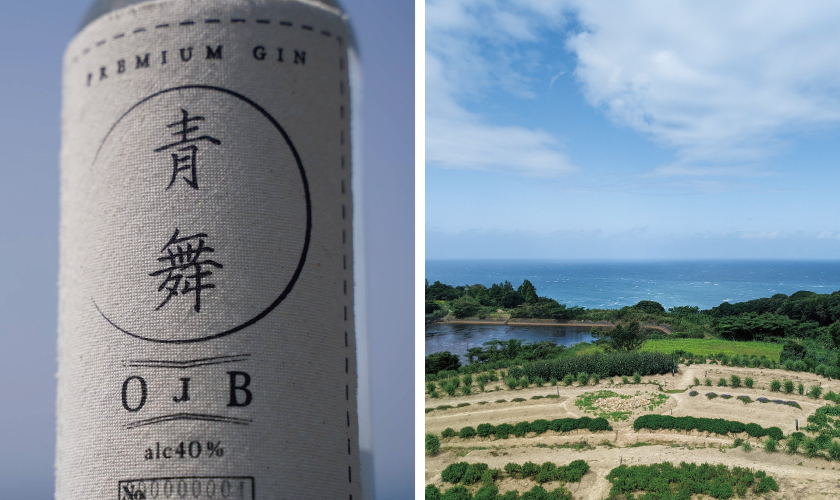 OrB 青舞 ORGANIC GIN 700ml 40% ネオ ブルー ディスティラリー オーガニックジン 青舞 OrB 40度